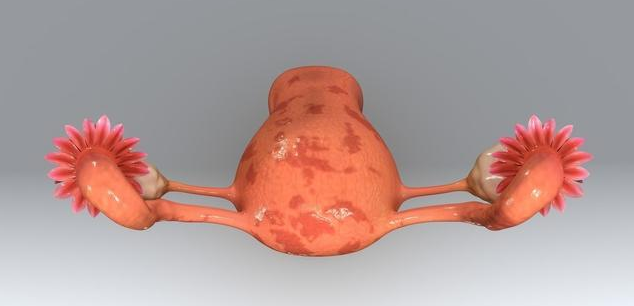 宮頸糜爛2度嚴(yán)重嗎 宮頸糜爛可以過(guò)性生活嗎