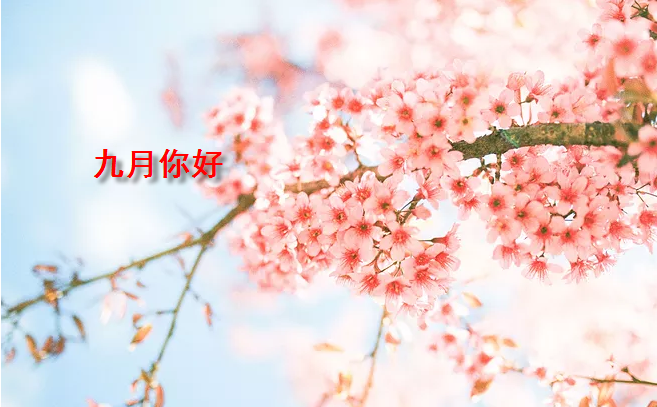 2019九月你好唯美高清圖片大全 九月早安心語一句話唯美短句 2019九月你好唯美高清圖片大全 九月早安心語一句話唯美短句