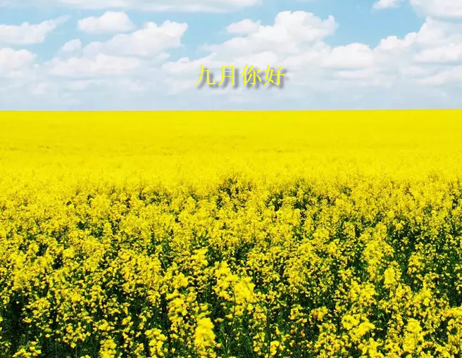 2019九月你好唯美高清圖片大全 九月早安心語一句話唯美短句 2019九月你好唯美高清圖片大全 九月早安心語一句話唯美短句