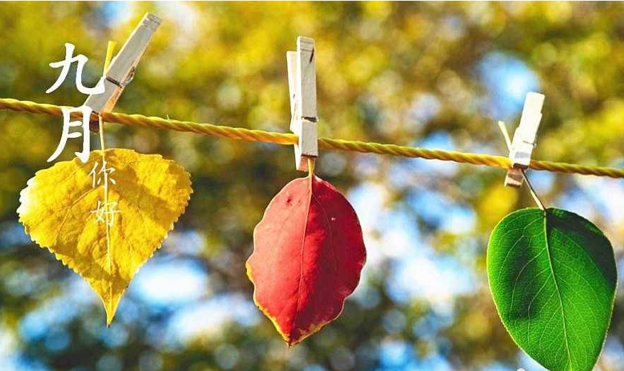 2019九月你好說說一句話致自己 2019最新九月你好八月再見說說大全
