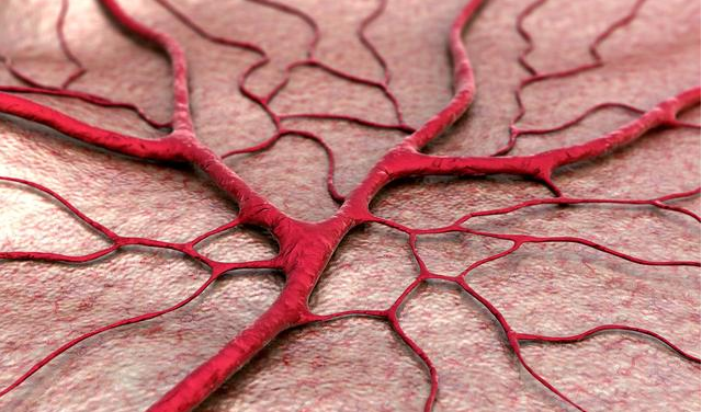 孕婦腿上有青筋是靜脈曲張嗎 哪些孕婦比較容易有靜脈曲張 孕婦腿上有青筋是靜脈曲張嗎 哪些孕婦比較容易有靜脈曲張