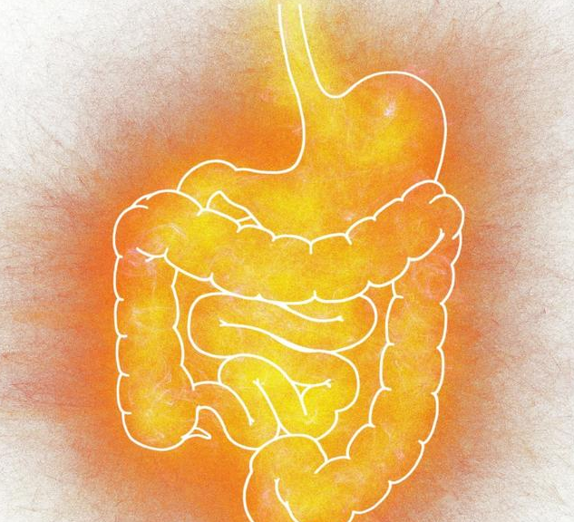 兒童脾胃虛弱是怎么一回事 兒童脾胃虛弱怎么調理