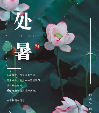 2019今日處暑心情早安語錄 處暑早安問候祝福語