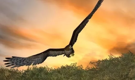 處暑三候是什么意思 處暑節氣三候的含義 處暑三候是什么意思 處暑節氣三候的含義