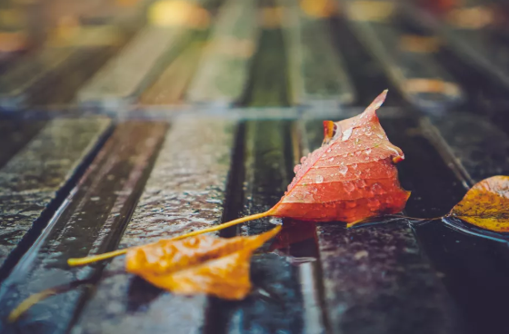 處暑傳統(tǒng)習俗大全2019 處暑節(jié)氣風俗介紹