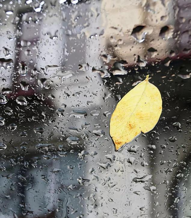 秋天的句子心情短語 描寫秋天的優(yōu)美語句心情