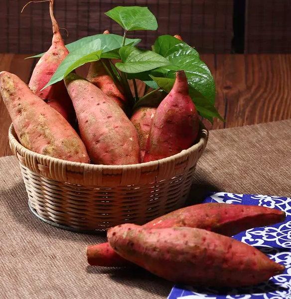 2019白露節氣有哪些傳統習俗 白露節氣習俗盤點 2019白露節氣有哪些傳統習俗 白露節氣習俗盤點