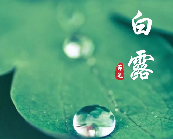 2019白露節氣祝福語帶圖說說大全 白露節氣朋友圈問候語