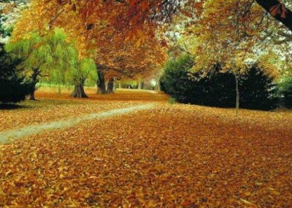 秋來了天氣涼涼的朋友圈說說 形容秋天天氣變涼的句子 秋來了天氣涼涼的朋友圈說說 形容秋天天氣變涼的句子