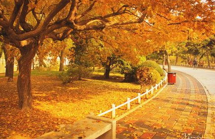 秋來了天氣涼涼的朋友圈說說 形容秋天天氣變涼的句子 秋來了天氣涼涼的朋友圈說說 形容秋天天氣變涼的句子