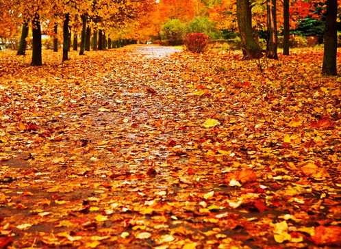 秋來了天氣涼涼的朋友圈說說 形容秋天天氣變涼的句子 秋來了天氣涼涼的朋友圈說說 形容秋天天氣變涼的句子