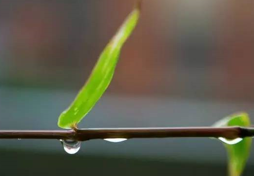 第一場秋雨朋友圈心情說說 關于秋雨的心情感慨 第一場秋雨朋友圈心情說說 關于秋雨的心情感慨