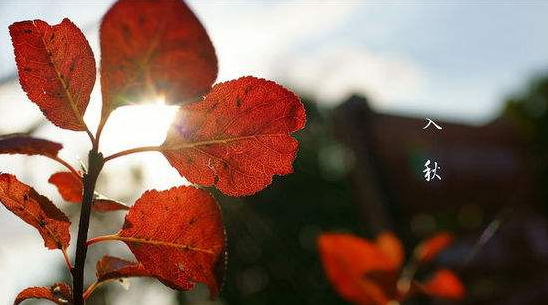 秋天來了的的唯美古詩詞盤點 2019入秋優美經典古詩詞大全