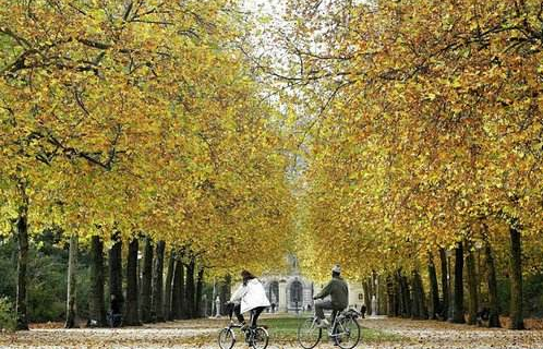 秋天來了的的唯美古詩詞盤點 2019入秋優美經典古詩詞大全