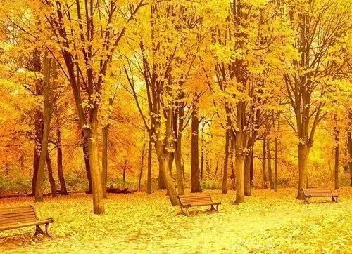 2019秋天到了心情說說短句  秋天到了的說說帶圖片