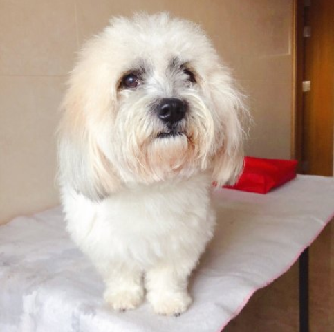 最近一次和寵物吵架的原因是什么 和自己的寵物吵架的原因配圖 最近一次和寵物吵架的原因是什么 和自己的寵物吵架的原因配圖