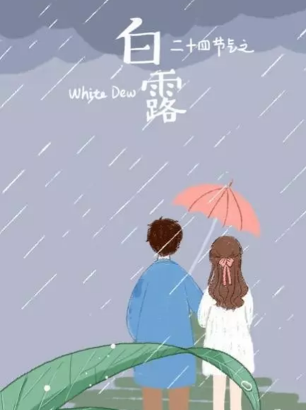 2019白露節氣海報文案匯總 白露借勢節氣海報