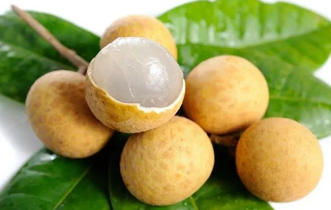 白露節氣的由來和風俗是什么 白露有什么寓意和講究