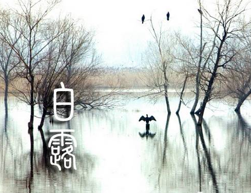 形容白露的詩句大全2019 關于白露的詩句有哪些 形容白露的詩句大全2019 關于白露的詩句有哪些