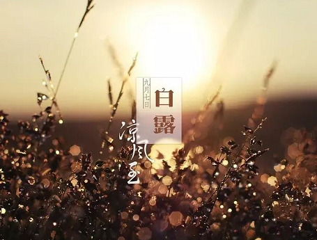 形容白露的詩句大全2019 關于白露的詩句有哪些 形容白露的詩句大全2019 關于白露的詩句有哪些