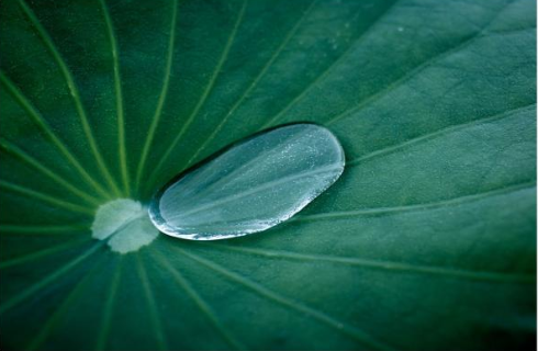 2019年白露說說朋友圈祝福語 白露來了的朋友圈說說 2019年白露說說朋友圈祝福語 白露來了的朋友圈說說