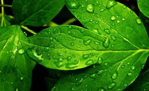 2019年白露說說朋友圈祝福語 白露來了的朋友圈說說 2019年白露說說朋友圈祝福語 白露來了的朋友圈說說