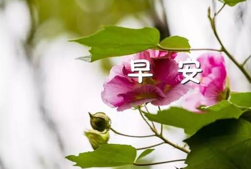 2019九月早安說說句子 2019八月再見九月你好的說說朋友圈