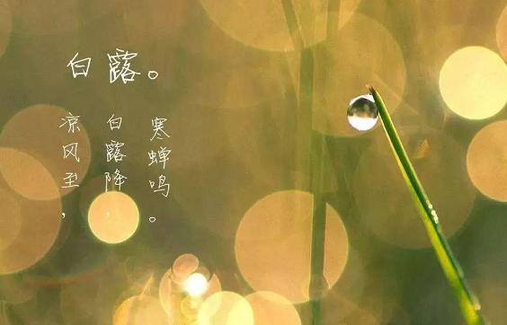2019白露節(jié)氣祝福語圖片 白露祝福語問候大全