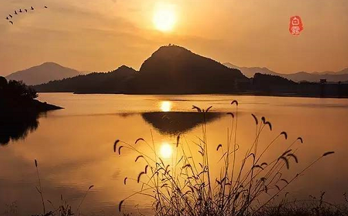 2019今日白露發朋友圈說說 白露節氣配圖文字