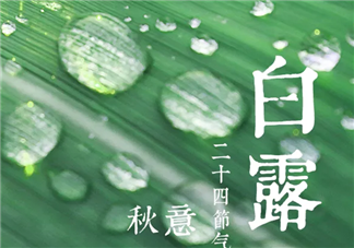 2019白露節(jié)氣有哪些傳統(tǒng)習(xí)俗 白露節(jié)氣習(xí)俗盤(pán)點(diǎn)