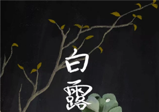 白露吃什么傳統(tǒng)食物 白露節(jié)氣適合吃什么食物