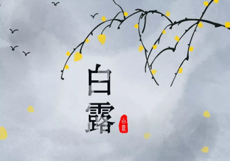 2019白露節(jié)氣養(yǎng)生吃什么 白露養(yǎng)生吃什么食物好