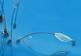 白露節(jié)氣的含義是什么 2019白露節(jié)氣要注意什么