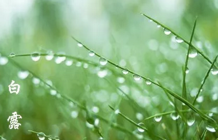 2019白露時節早安心語 白露怎么發朋友圈好