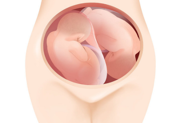 寶寶白天出生好還是晚上出生好 白天和晚上出生的區別 寶寶白天出生好還是晚上出生好 白天和晚上出生的區別