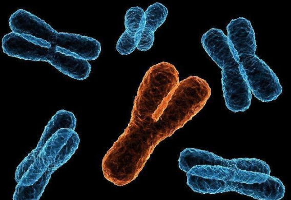 女翻男真的存在嗎 民間網(wǎng)傳的女翻男偏方