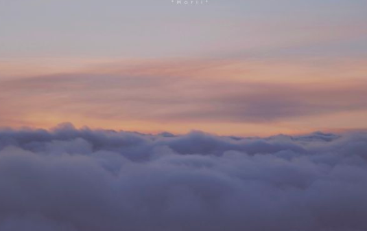 那些冷門而有韻味的句子 適合摘抄的冷門句子