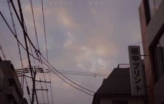 那些冷門而有韻味的句子 適合摘抄的冷門句子