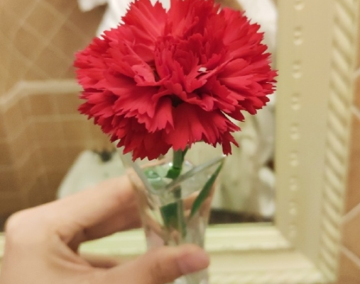 第一次過教師節的感受 第一次過教師節的心得體會 