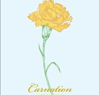 生日和教師節同一天的說說 生日遇上教師節的祝福語