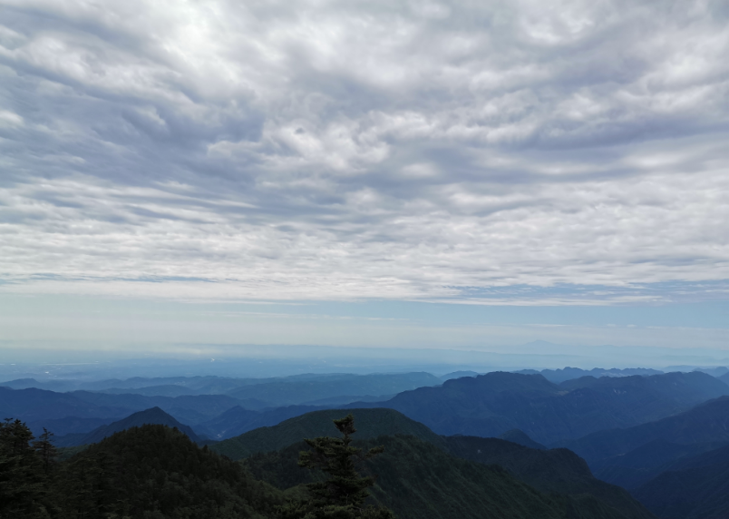 暑假假期生活總結 高中大學暑假生活總結記錄