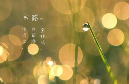 2019最新白露祝福語精選大全 白露祝福朋友短信微信