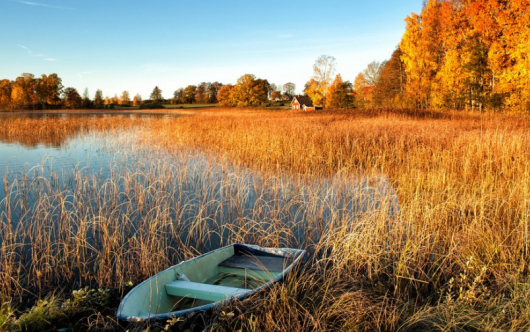 描寫秋天的詩句有哪些 秋天唯美詩句大全
