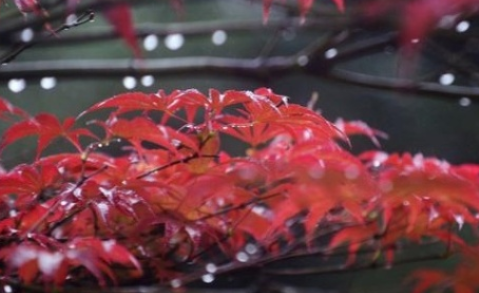 秋雨綿綿的朋友圈說說 描寫秋雨的心情句子 秋雨綿綿的朋友圈說說 描寫秋雨的心情句子