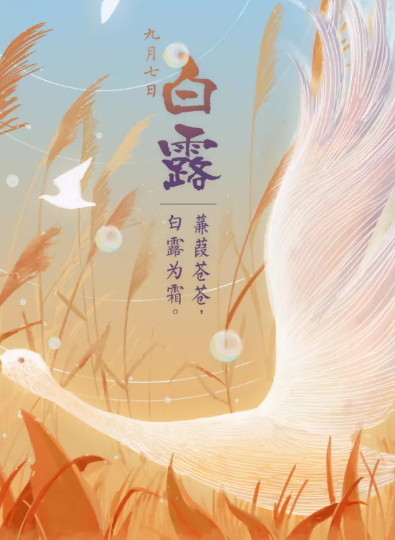 2019白露節(jié)氣文案怎么寫(xiě) 白露品牌文案海報(bào)賞析