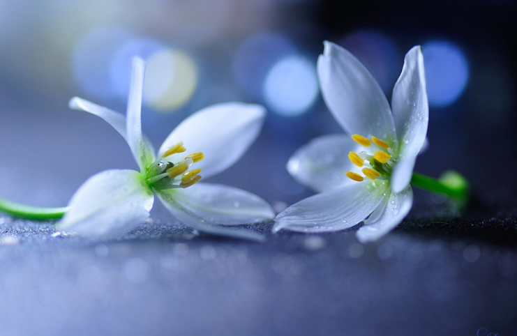 夏天結束了的說說怎么發 夏天結束了的句子心情 夏天結束了的說說怎么發 夏天結束了的句子心情