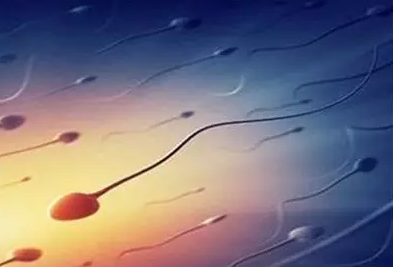 男性射出來的精液很稀薄是病嗎 精液稀疏要怎么調理 男性射出來的精液很稀薄是病嗎 精液稀疏要怎么調理