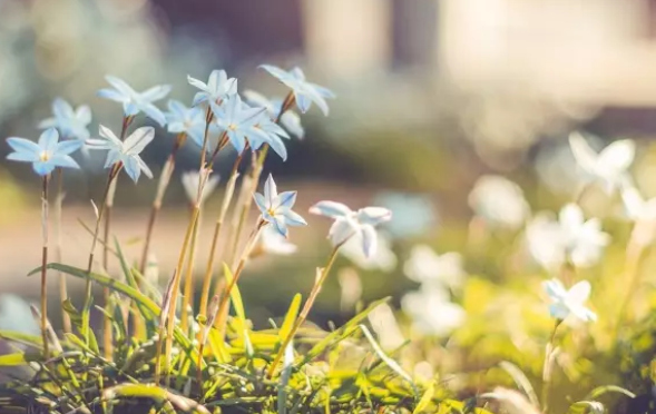 八月再見朋友圈說說帶圖片 八月再見的心情句子