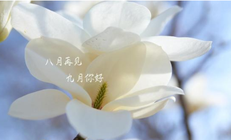 再見八月九月你好說說2019 9月你好文字圖片