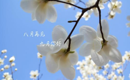 再見八月九月你好說說2019 9月你好文字圖片